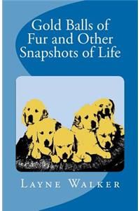 Gold Balls of Fur and Other Snapshots of Life