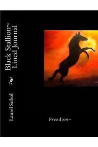 Black stallion Lined Journal