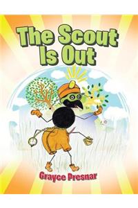 The Scout Is Out