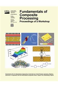 Findamentals of Composite Processing