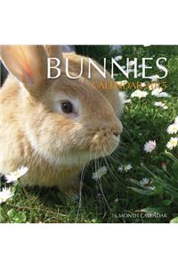 Bunnies Calendar 2015