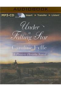 Under a Falling Star