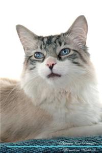 Birman Cat Affirmations Workbook Birman Cat Presents