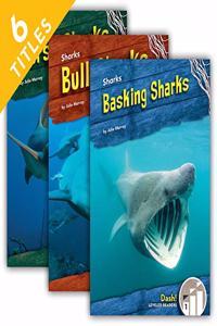 Sharks (Set)