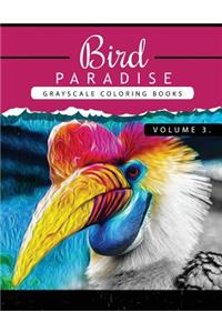 Bird Paradise Volume 3