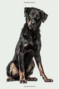 Beauceron: Artified Pets Journal/Notebook/Diary 160 Pages
