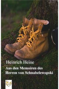Aus den Memoiren des Herren von Schnabelewopski