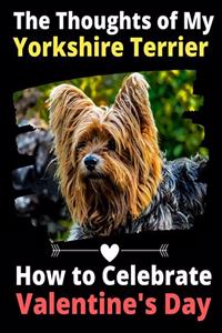 Thoughts of My Yorkshire Terrier