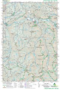 McCoy Peak, Wa No. 333