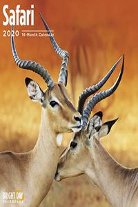 SAFARI WALL CALENDAR 2020