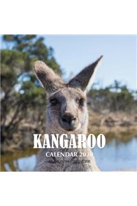 Kangaroo Calendar 2020
