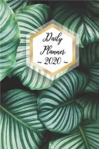 Daily Planner 2020: Green Leaves 365 Day Daily Planner for Year 2020 6"x9" Everyday Organizer 52 Weeks Monday to Sunday Vegan Vegetarian Healthy Life Plan Academic Sche