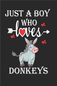 Just a Boy Who Loves Donkeys