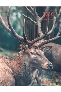 2020 A4 Diary Week To View Planner For All Occasions