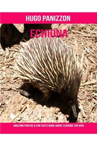 Echidna: Amazing Photos & Fun Facts Book about Echidna for Kids