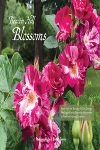 Beacon Hill Blossoms