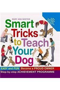 Smart Tricks to Teach Your Dog