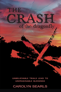 Crash of the Dragonfly