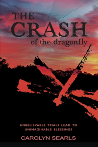 The Crash of the Dragonfly