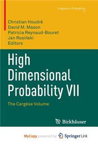 High Dimensional Probability VII