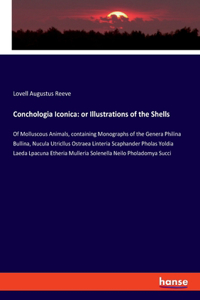 Conchologia Iconica