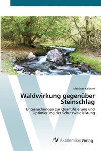 Waldwirkung gegenüber Steinschlag
