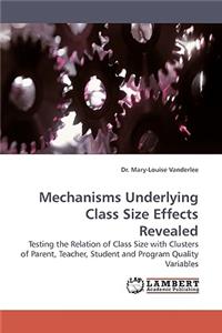 Mechanisms Underlying Class Size Effects Revealed