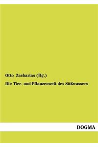 Tier- und Pflanzenwelt des Süßwassers