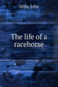 life of a racehorse