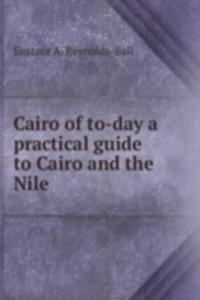 Cairo of to-day a practical guide to Cairo and the Nile