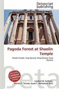Pagoda Forest at Shaolin Temple