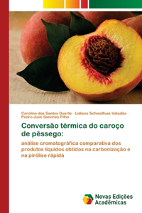 Conversão térmica do caroço de pêssego