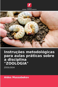 Instruções metodológicas para aulas práticas sobre a disciplina 