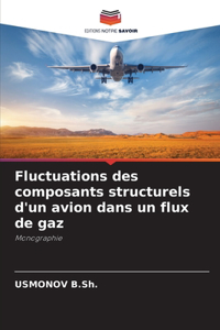 Fluctuations des composants structurels d'un avion dans un flux de gaz
