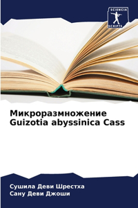 Микроразмножение Guizotia abyssinica Cass