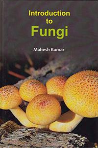 Introduction To Fungi