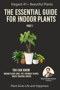 Essential Guide For Indoor Plant Part 1