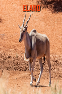 Eland