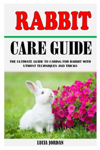 Rabbit Care Guide