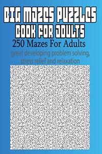 Big Mazes Puzzles Book For Adults
