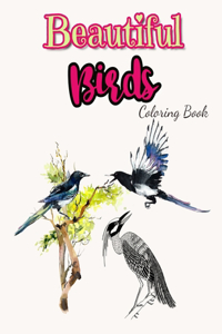 Beautiful Birds Coloring Book