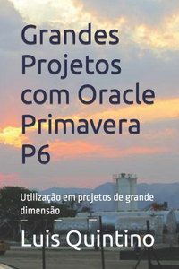 Grandes Projetos com Oracle Primavera P6