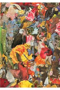 Golden Hummingbird Garden