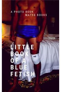 Little Book of blue Fetish