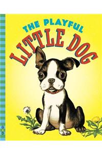 The Playful Little Dog