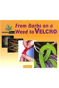 From Barbs on a Weed to Velcro