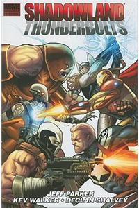 Shadowland: Thunderbolts