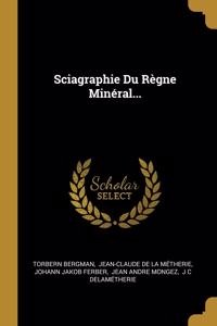 Sciagraphie Du Règne Minéral...