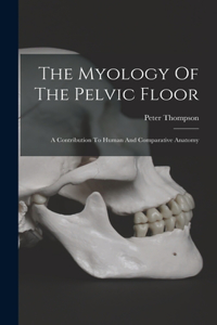 Myology Of The Pelvic Floor