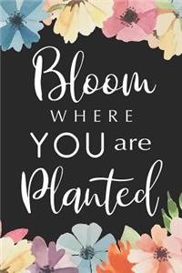 Bloom Where You Are Planted